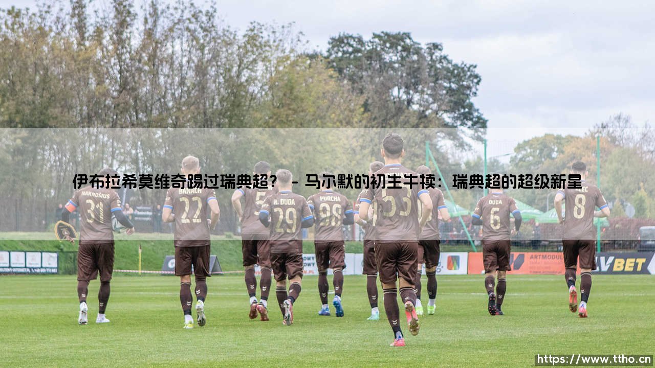 伊布拉希莫维奇踢过瑞典超吗?揭秘神塔的北欧起点-第1张图片-天体号 伊布拉希莫维奇踢过瑞典超吗?揭秘神塔的北欧起点-第1张图片-天体号
