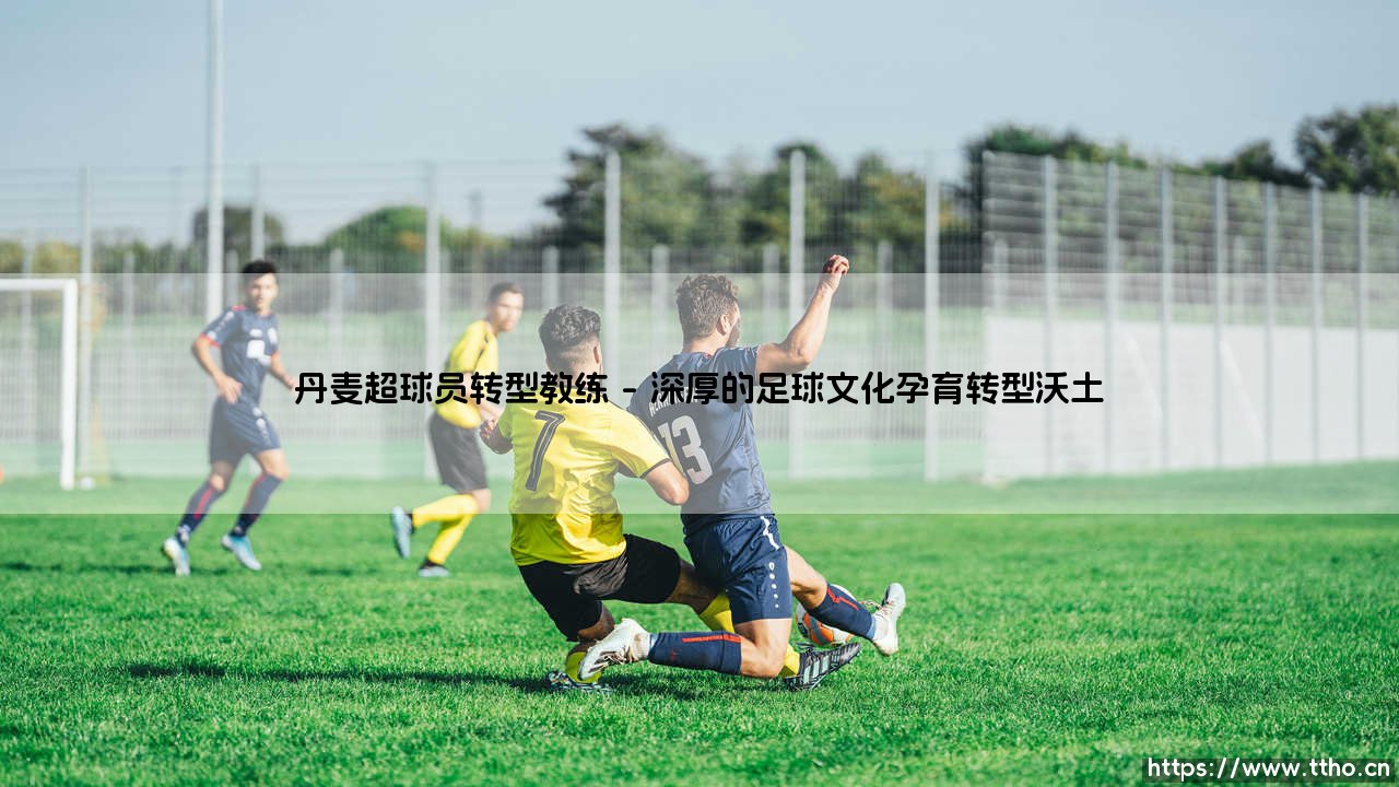 从绿茵场到战术板:丹麦超级联赛球员的教练转型之路-第1张图片-天体号 从绿茵场到战术板:丹麦超级联赛球员的教练转型之路-第1张图片-天体号