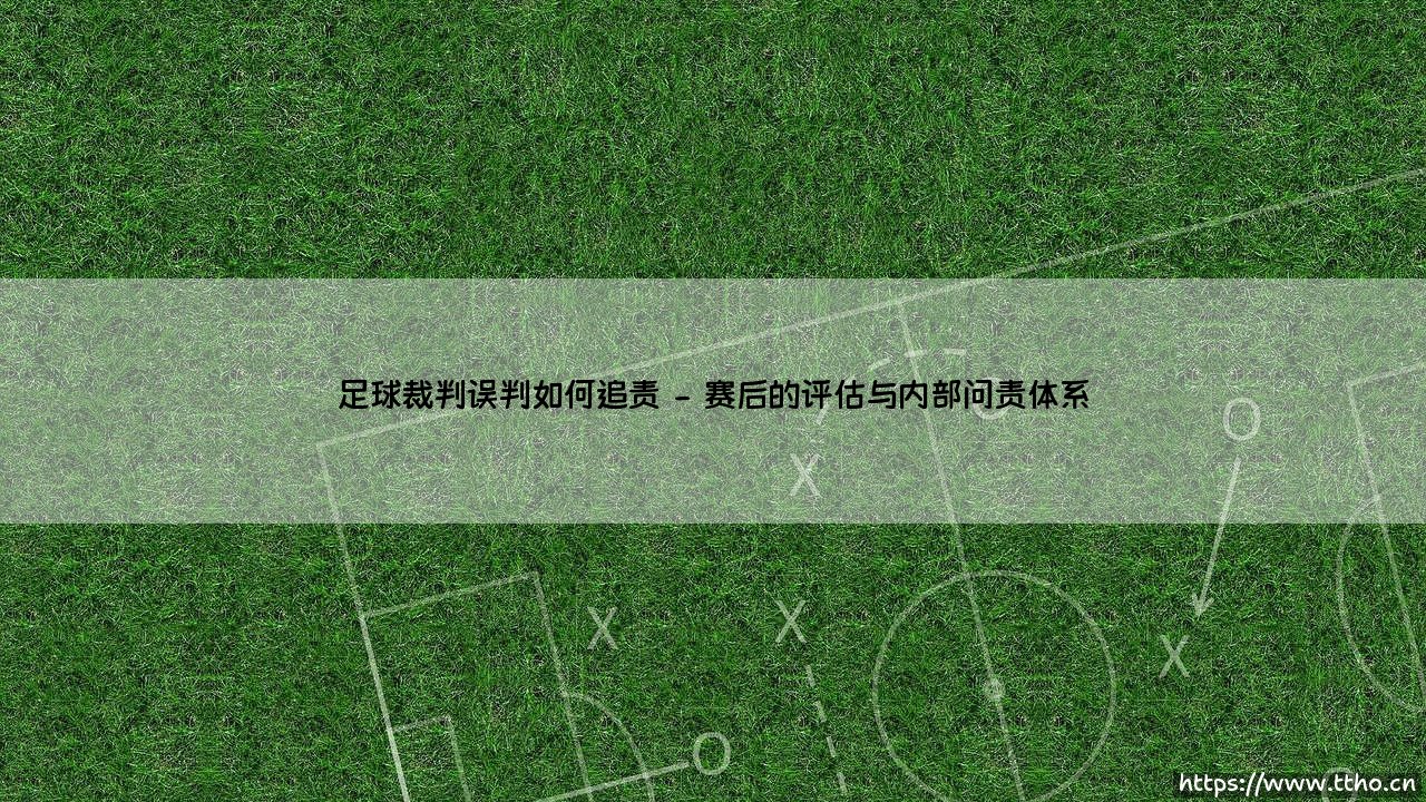 足球裁判误判如何追责：绿茵公正的挑战与探索-第2张图片-天体号