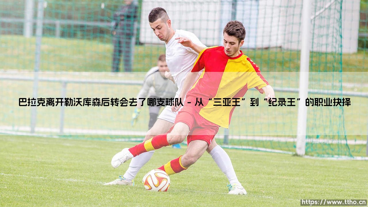 巴拉克离开勒沃库森后转会去了哪支球队——揭秘德国巨星的下一站征程-第1张图片-天体号