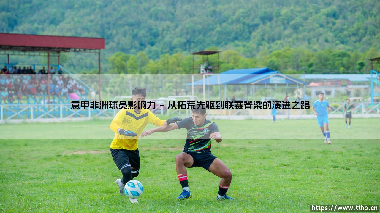 意甲赛场的非洲力量:塑造亚平宁足球的非凡影响力-第1张图片-天体号 意甲赛场的非洲力量:塑造亚平宁足球的非凡影响力-第1张图片-天体号