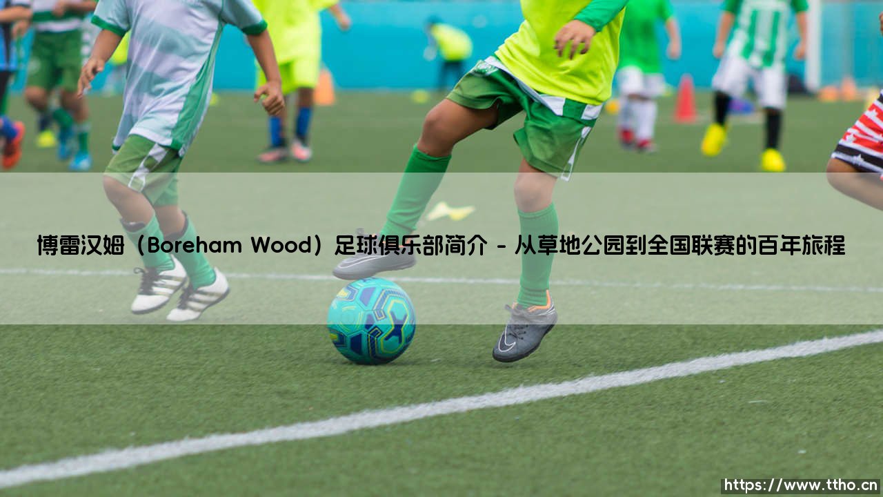 博雷汉姆足球俱乐部:绿茵场上的社区灯塔与梦想舞台-第1张图片-天体号 博雷汉姆足球俱乐部:绿茵场上的社区灯塔与梦想舞台-第1张图片-天体号