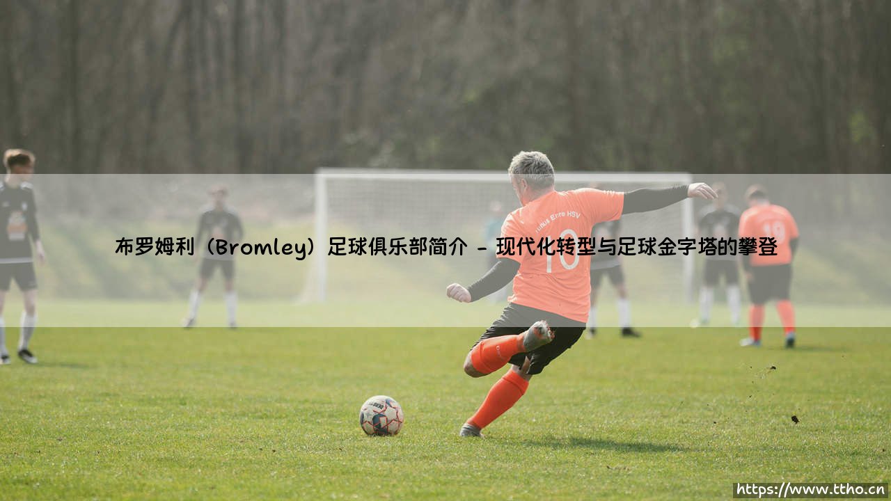 布罗姆利足球俱乐部简介:一支非联赛球队如何书写现代足球的另类叙事?-第2张图片-天体号 布罗姆利足球俱乐部简介:一支非联赛球队如何书写现代足球的另类叙事?-第2张图片-天体号