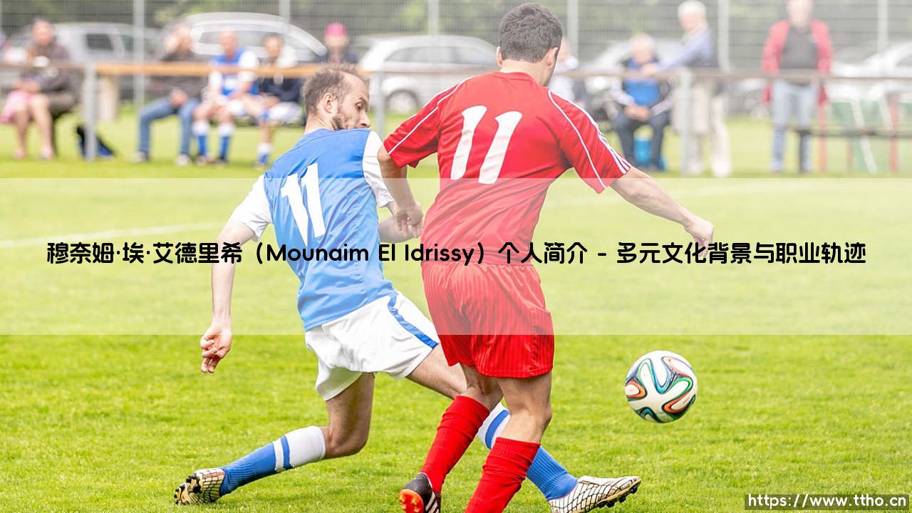 穆奈姆·埃·艾德里希（Mounaim El Idrissy）个人简介【远方的球门】-第1张图片-天体号
