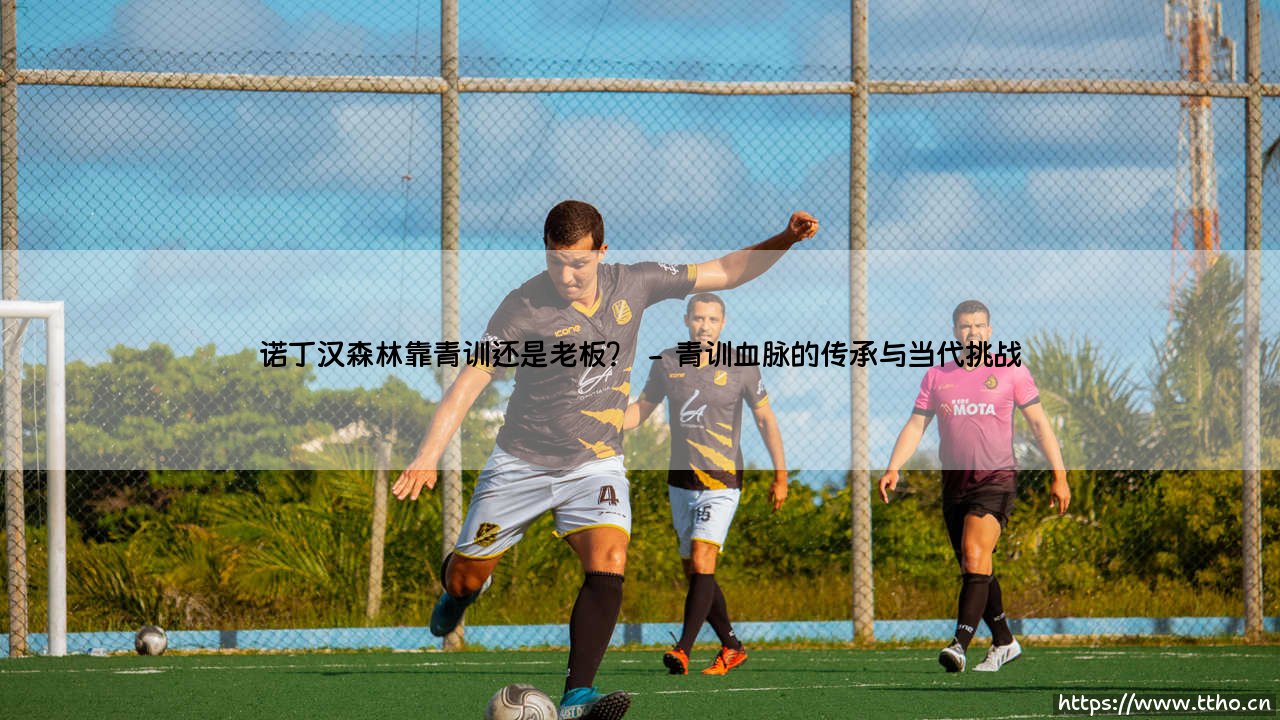 诺丁汉森林靠青训还是老板?探寻球队复兴的双重引擎-第2张图片-天体号 诺丁汉森林靠青训还是老板?探寻球队复兴的双重引擎-第2张图片-天体号