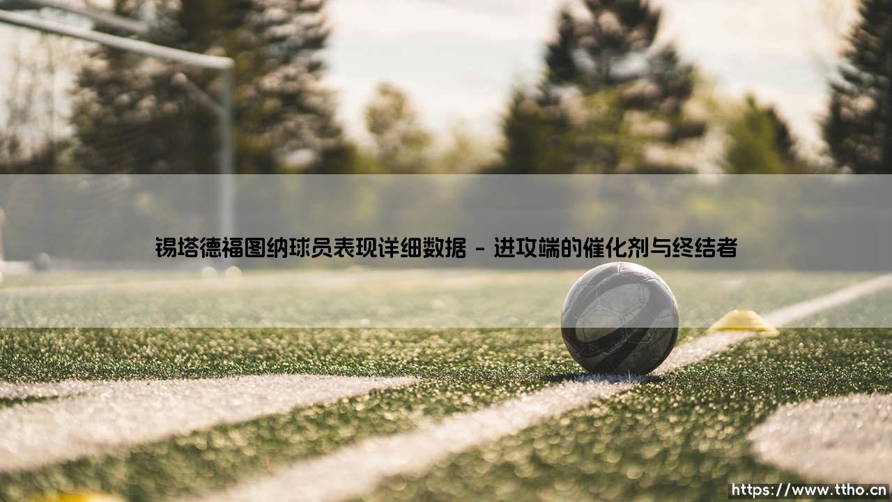 锡塔德福图纳球员表现详细数据解析-第1张图片-天体号