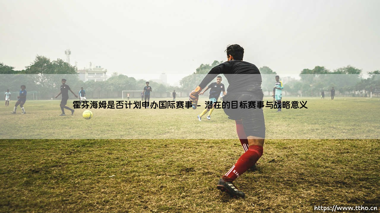 霍芬海姆是否计划申办国际赛事?——探寻小城俱乐部的大梦想-第2张图片-天体号 霍芬海姆是否计划申办国际赛事?——探寻小城俱乐部的大梦想-第2张图片-天体号