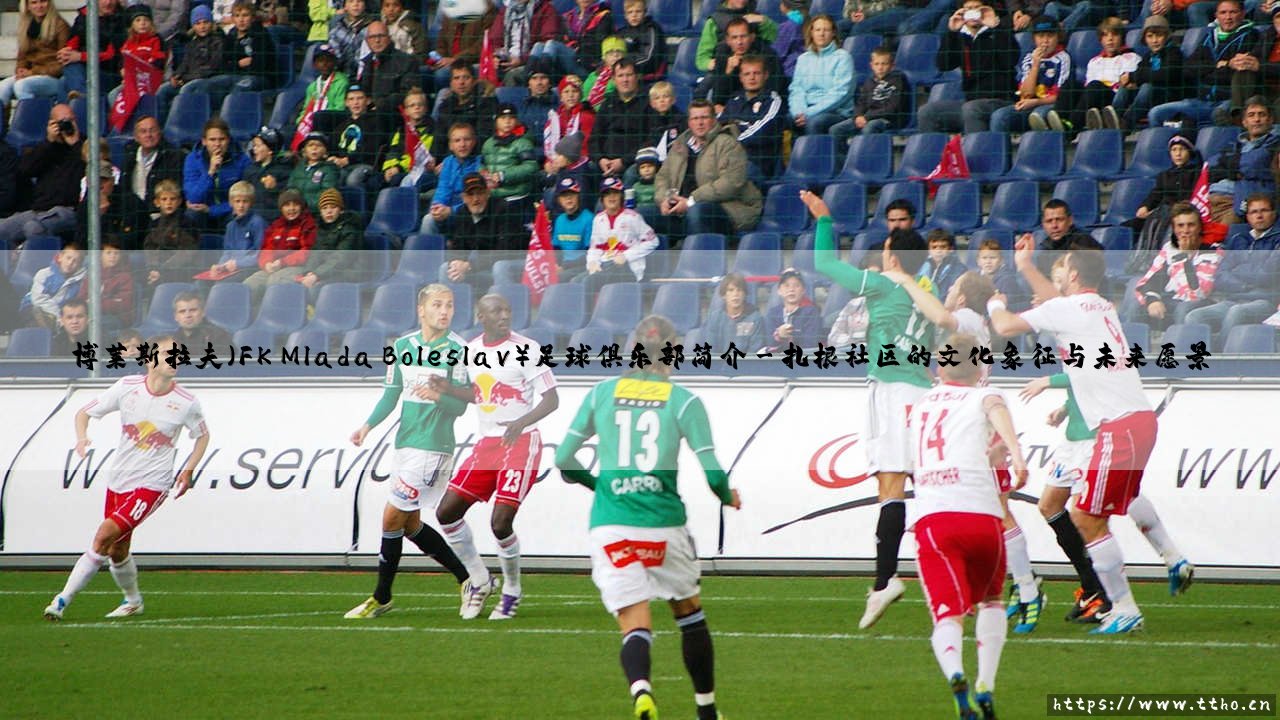 博莱斯拉夫（FK Mlada Boleslav）足球俱乐部简介【绿茵视界】-第3张图片-天体号