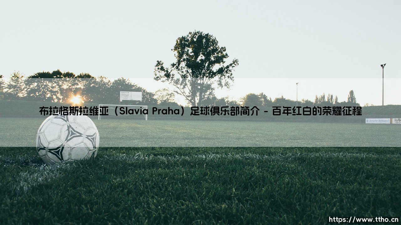 布拉格斯拉维亚足球俱乐部简介:探秘捷克足坛的百年豪门布拉格斯拉维亚-第1张图片-天体号 布拉格斯拉维亚足球俱乐部简介:探秘捷克足坛的百年豪门布拉格斯拉维亚-第1张图片-天体号