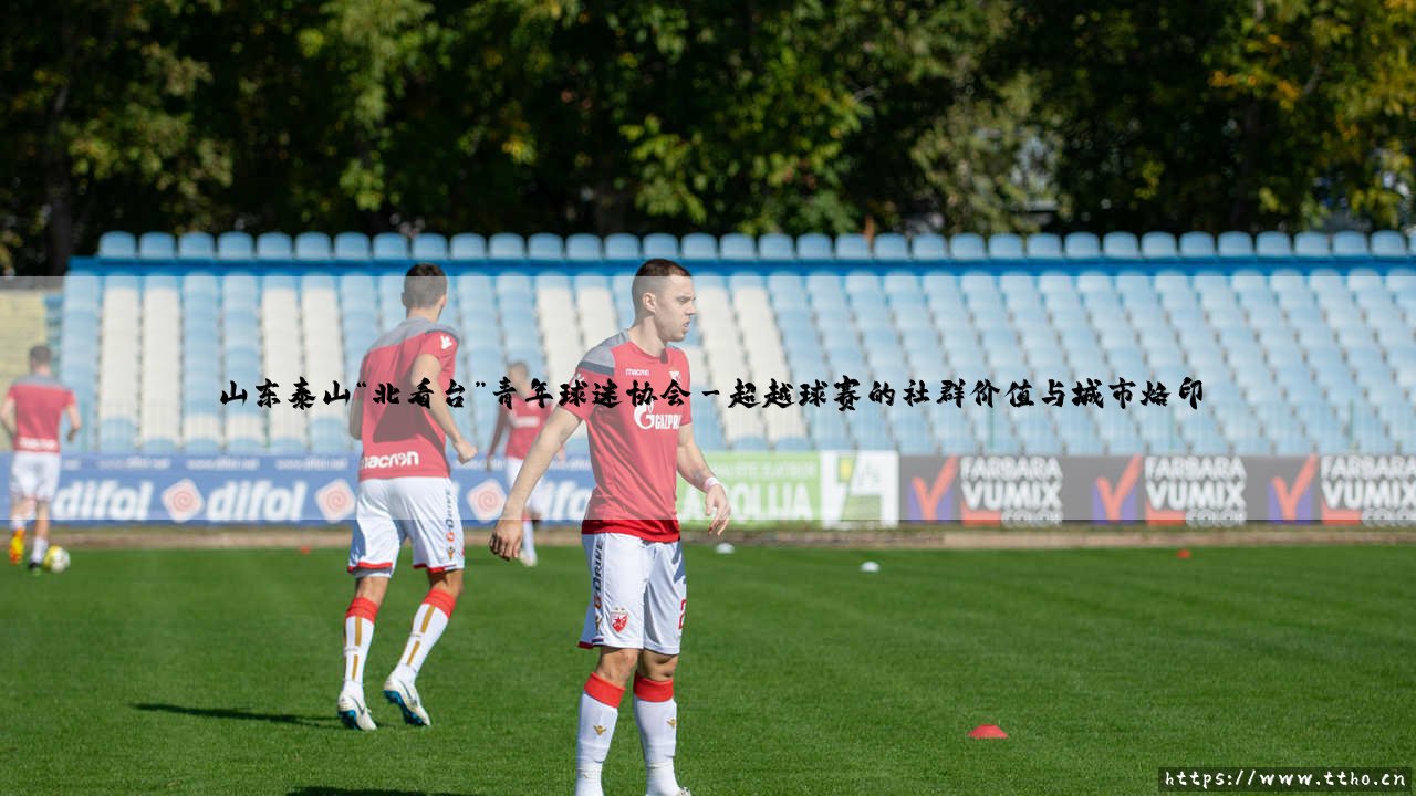山东泰山“北看台”青年球迷协会:看台之上,信仰之下-第3张图片-天体号 山东泰山“北看台”青年球迷协会:看台之上,信仰之下-第3张图片-天体号