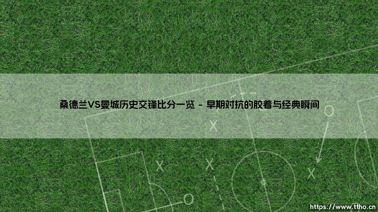 桑德兰VS曼城历史交锋比分一览:黑猫与蓝月亮的绿茵往事-第1张图片-天体号 桑德兰VS曼城历史交锋比分一览:黑猫与蓝月亮的绿茵往事-第1张图片-天体号