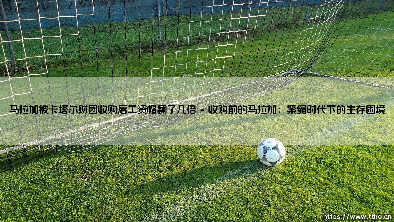 马拉加被卡塔尔财团收购后工资帽翻了几倍?——卡塔尔资本如何重塑西甲薪资格局-第1张图片-天体号 马拉加被卡塔尔财团收购后工资帽翻了几倍?——卡塔尔资本如何重塑西甲薪资格局-第1张图片-天体号