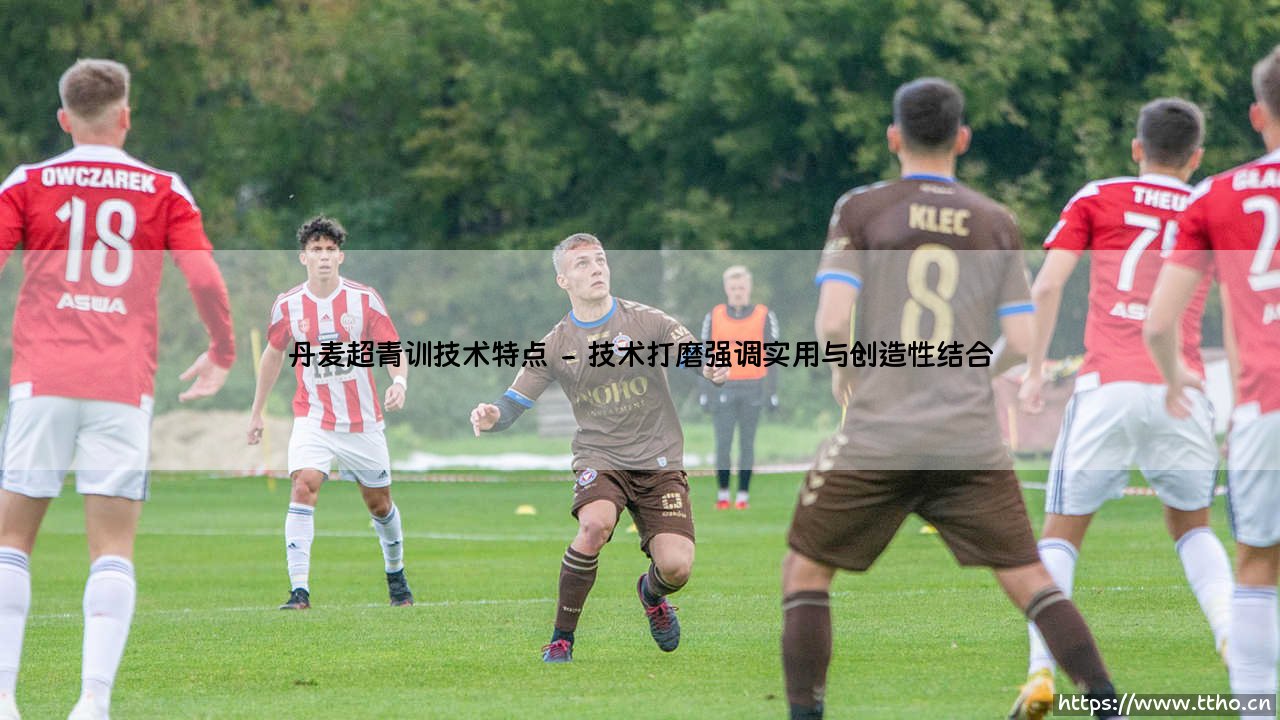 丹麦超青训技术特点:北欧足球的炼金术,还是现代球员的流水线?-第2张图片-天体号 丹麦超青训技术特点:北欧足球的炼金术,还是现代球员的流水线?-第2张图片-天体号