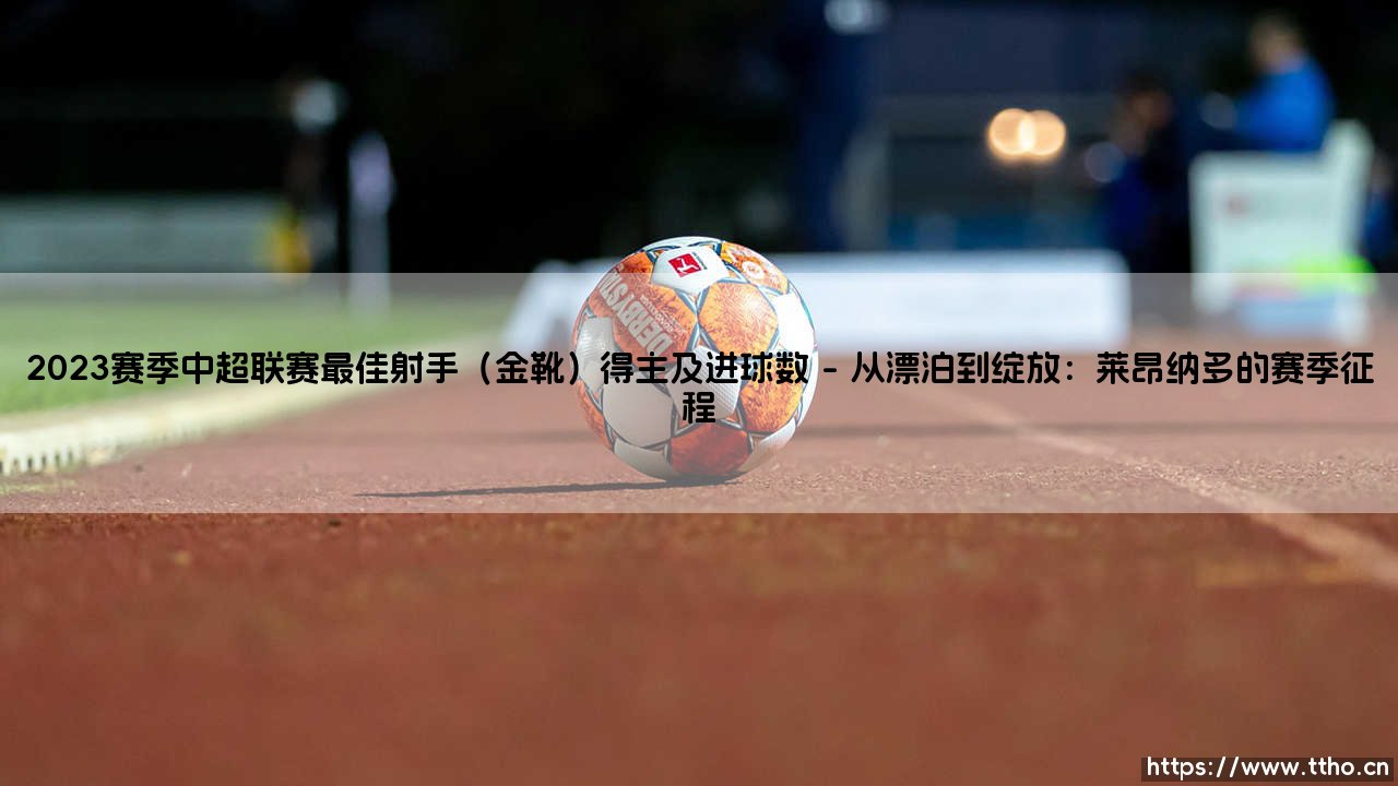 2023赛季中超联赛最佳射手（金靴）得主及进球数：莱昂纳多的荣耀之路-第1张图片-天体号