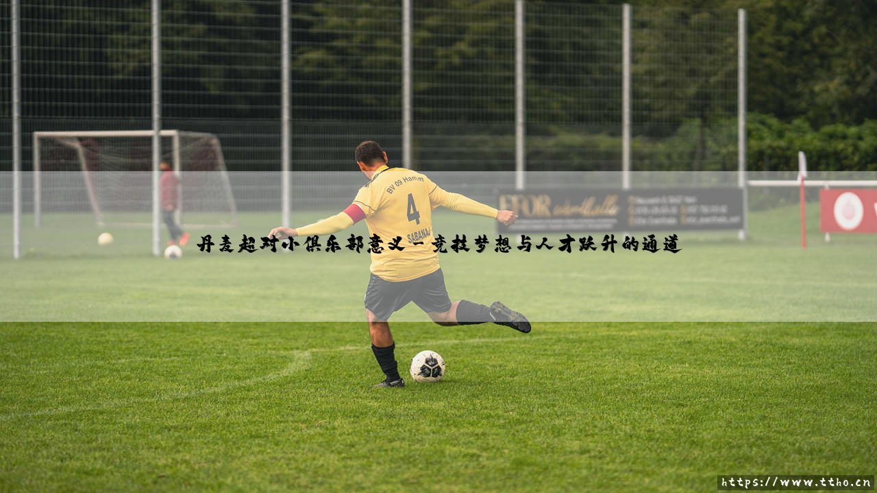 丹麦超级联赛对小俱乐部的非凡意义-第3张图片-天体号 丹麦超级联赛对小俱乐部的非凡意义-第3张图片-天体号