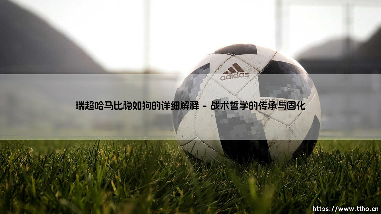 瑞超哈马比稳如狗,详解哈马比为何稳如泰山-第1张图片-天体号 瑞超哈马比稳如狗,详解哈马比为何稳如泰山-第1张图片-天体号