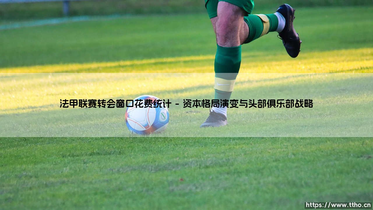 法甲联赛转会窗口花费统计：金元浪潮下的法甲转会市场全景剖析-第1张图片-天体号