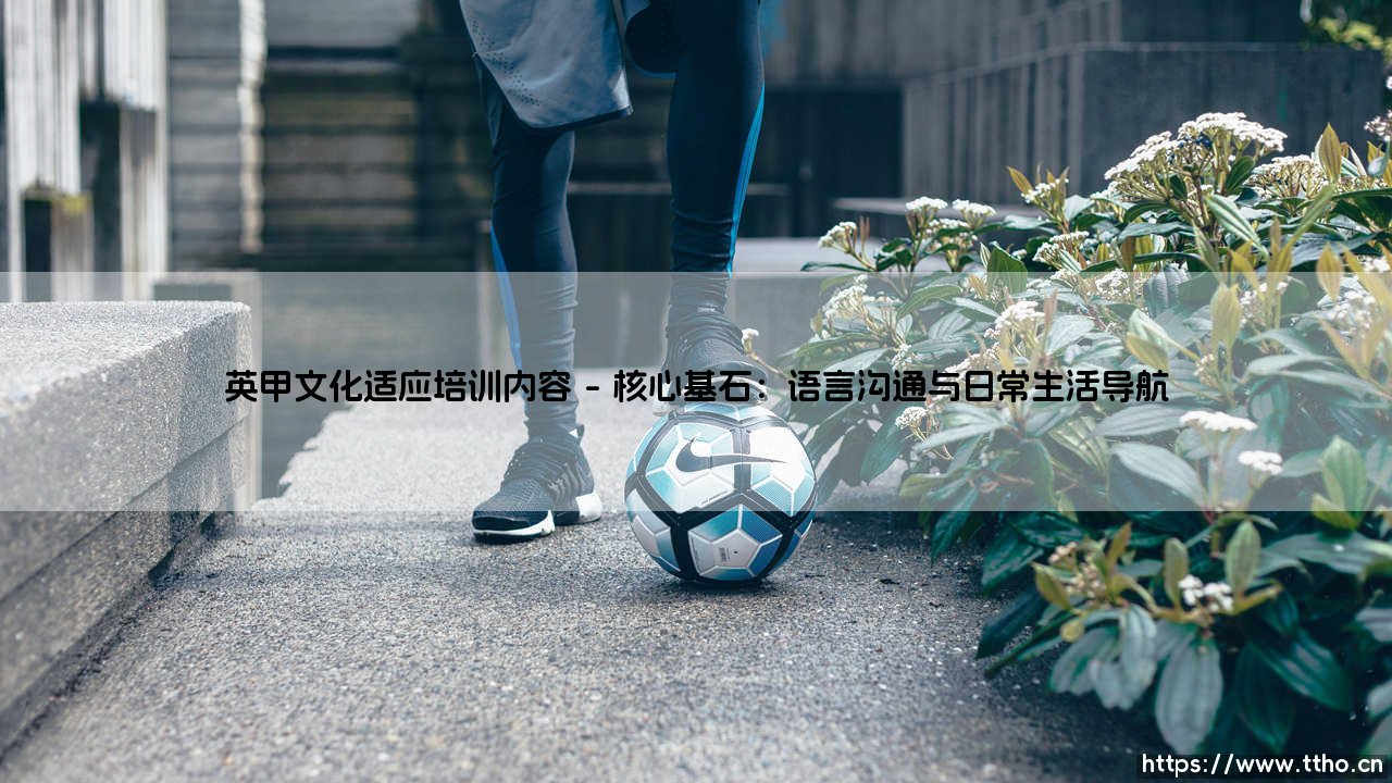 英甲文化适应培训内容:开启职业与生活新篇章的导航图-第1张图片-天体号 英甲文化适应培训内容:开启职业与生活新篇章的导航图-第1张图片-天体号