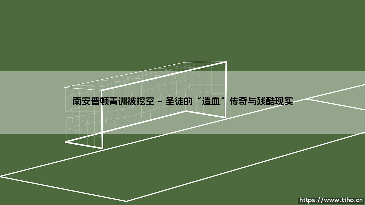 南安普顿青训被挖空：英超“天才加工厂”的困境与反思-第1张图片-天体号