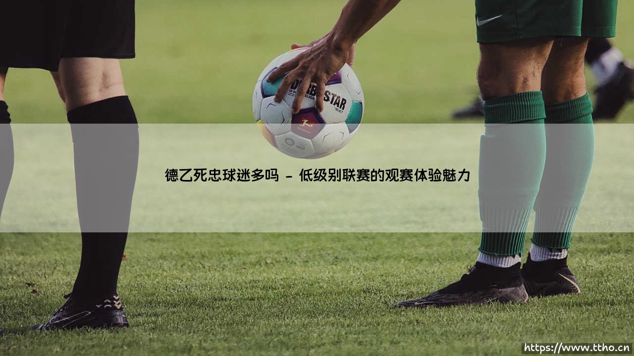 德乙死忠球迷多吗?一个关于足球忠诚度的有趣探索-第2张图片-天体号 德乙死忠球迷多吗?一个关于足球忠诚度的有趣探索-第2张图片-天体号