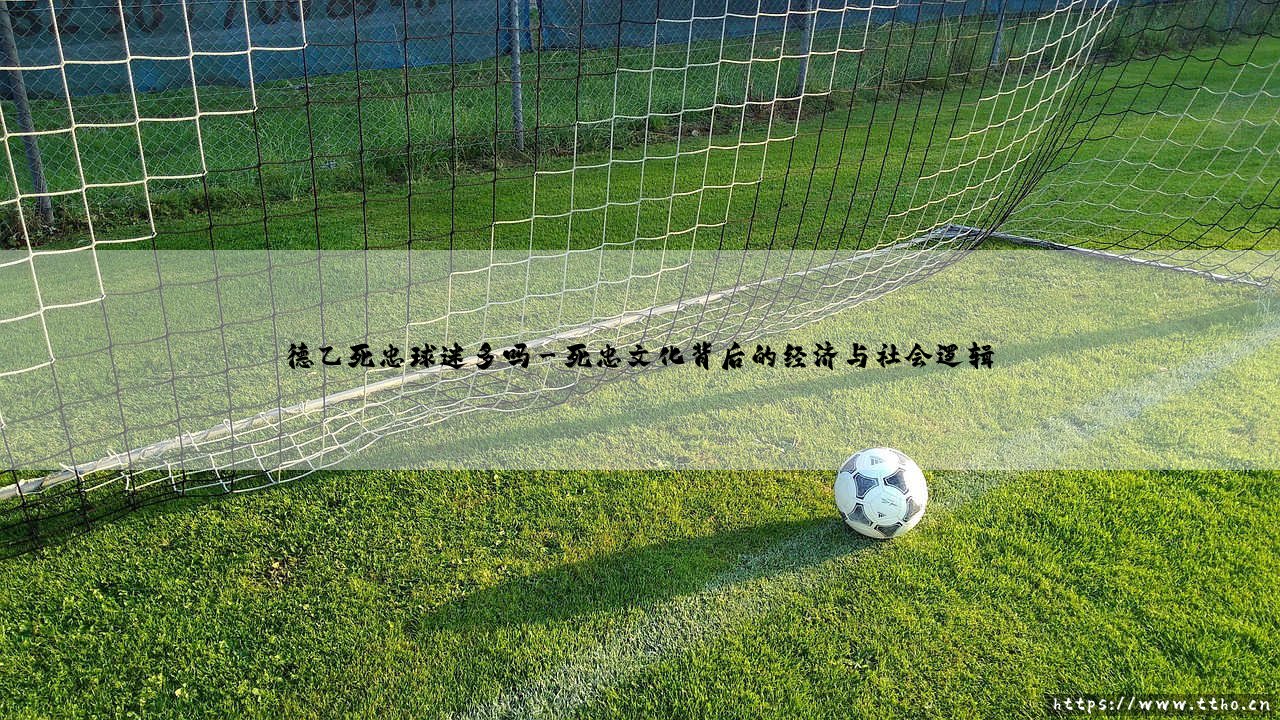 德乙死忠球迷多吗?一个关于足球忠诚度的有趣探索-第3张图片-天体号 德乙死忠球迷多吗?一个关于足球忠诚度的有趣探索-第3张图片-天体号