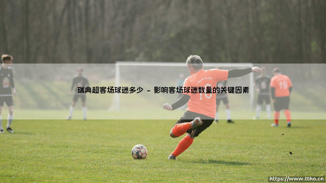瑞典超客场球迷知多少?- 揭秘瑞典足球联赛的远征军文化-第2张图片-天体号 瑞典超客场球迷知多少?- 揭秘瑞典足球联赛的远征军文化-第2张图片-天体号