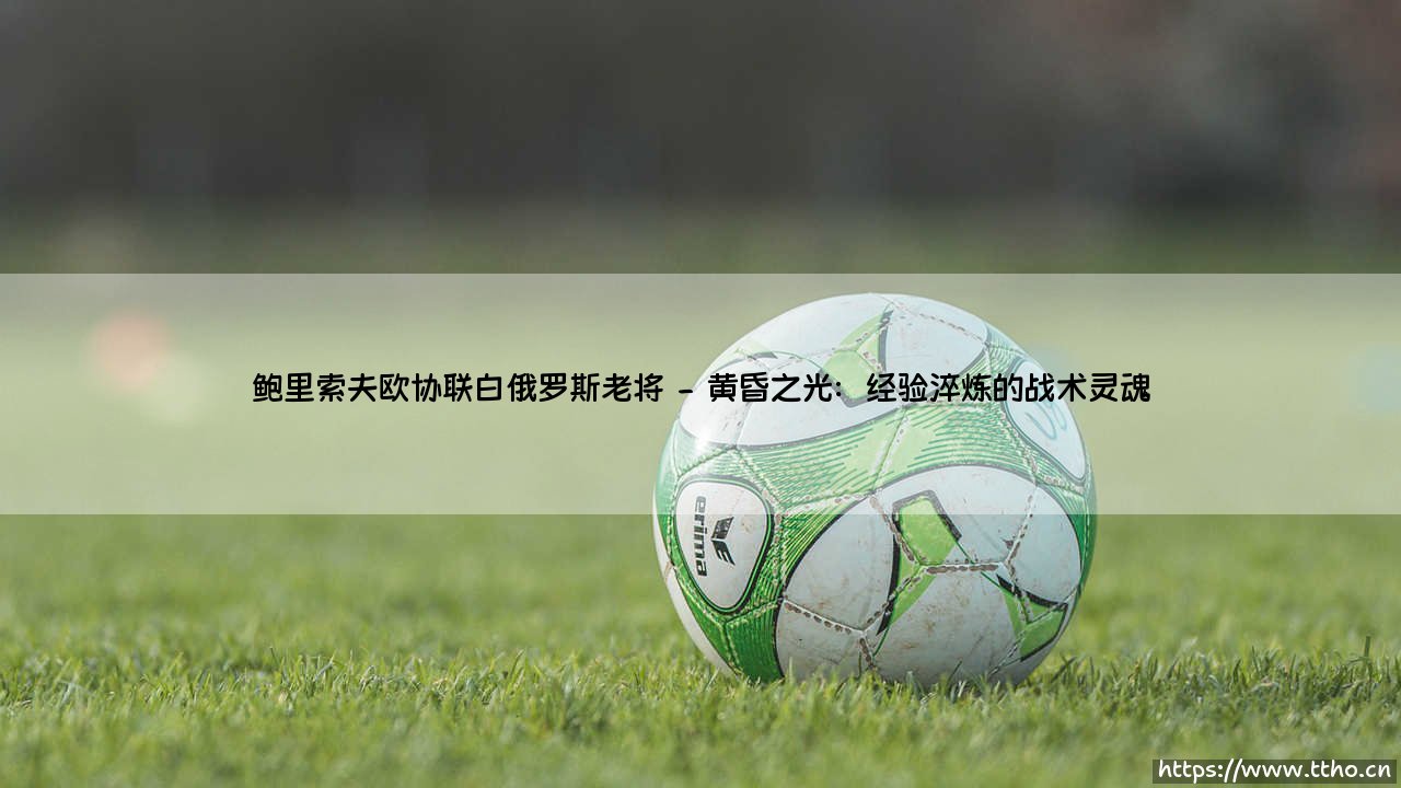 鲍里索夫欧协联白俄罗斯老将：绿茵黄昏下的坚守与远航-第2张图片-天体号