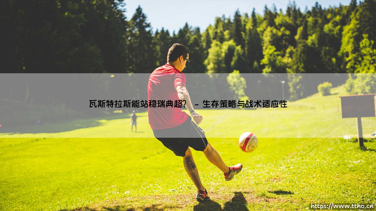 瓦斯特拉斯能站稳瑞典超?升班马的野望与现实-第2张图片-天体号 瓦斯特拉斯能站稳瑞典超?升班马的野望与现实-第2张图片-天体号