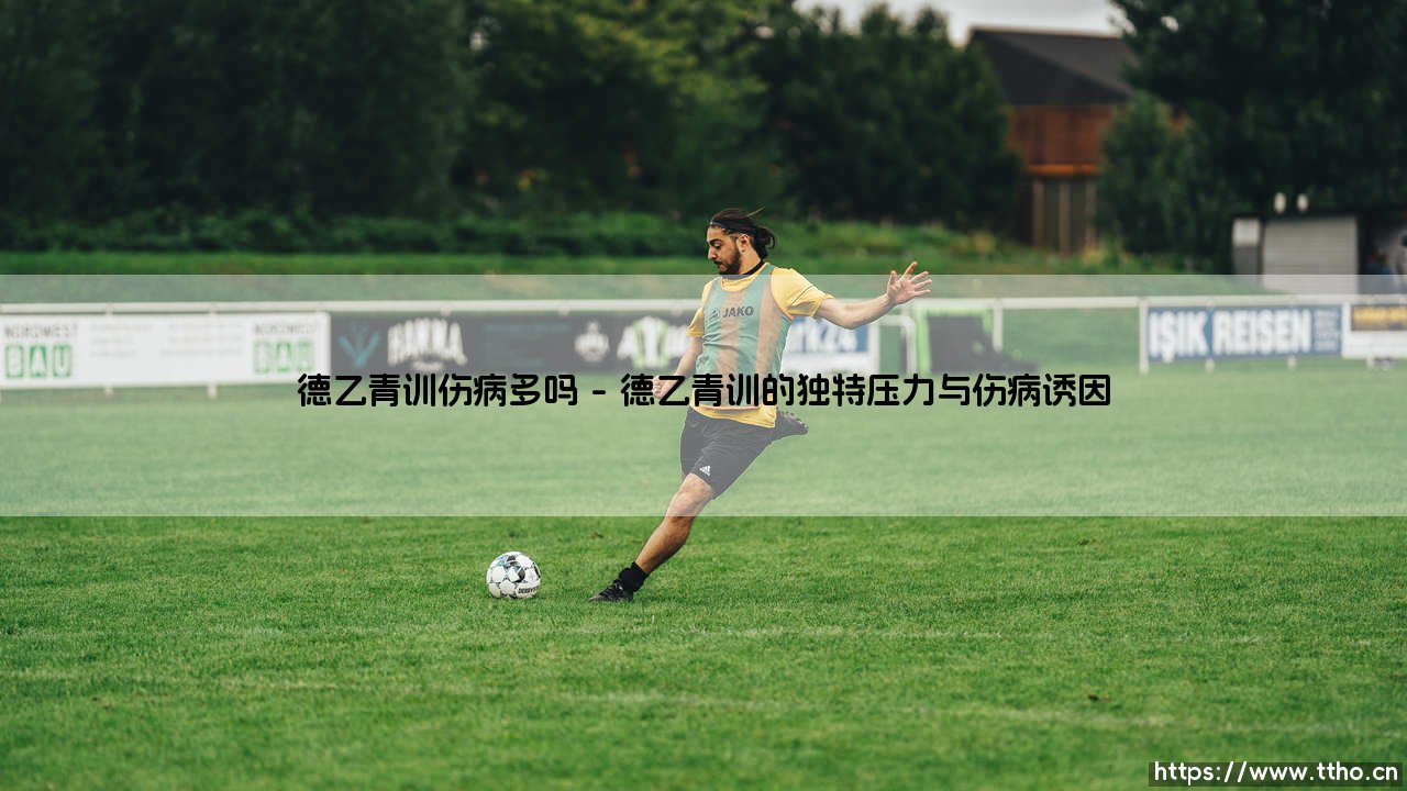 德乙青训伤病多吗？一个被忽视的困局：「青年才俊」与「玻璃人」的悖论-第1张图片-天体号