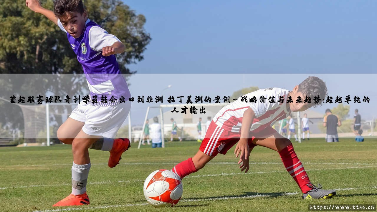葡超联赛球队青训学员转会出口到非洲与拉丁美洲的案例探析-第3张图片-天体号