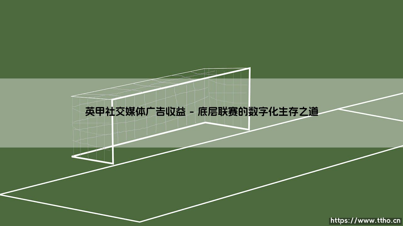 英甲社交媒体广告收益的崛起与变革-第1张图片-天体号 英甲社交媒体广告收益的崛起与变革-第1张图片-天体号