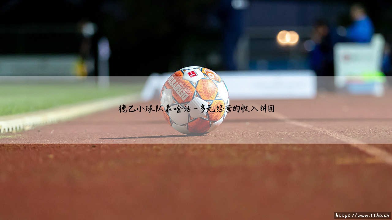 德乙小球队靠啥活？生存之道：揭秘那些不为人知的足球「生命力」-第4张图片-天体号