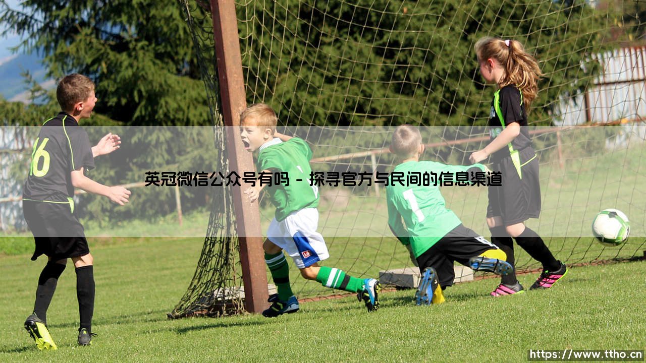 英冠微信公众号有吗？深度探索足球迷的线上家园-第1张图片-天体号