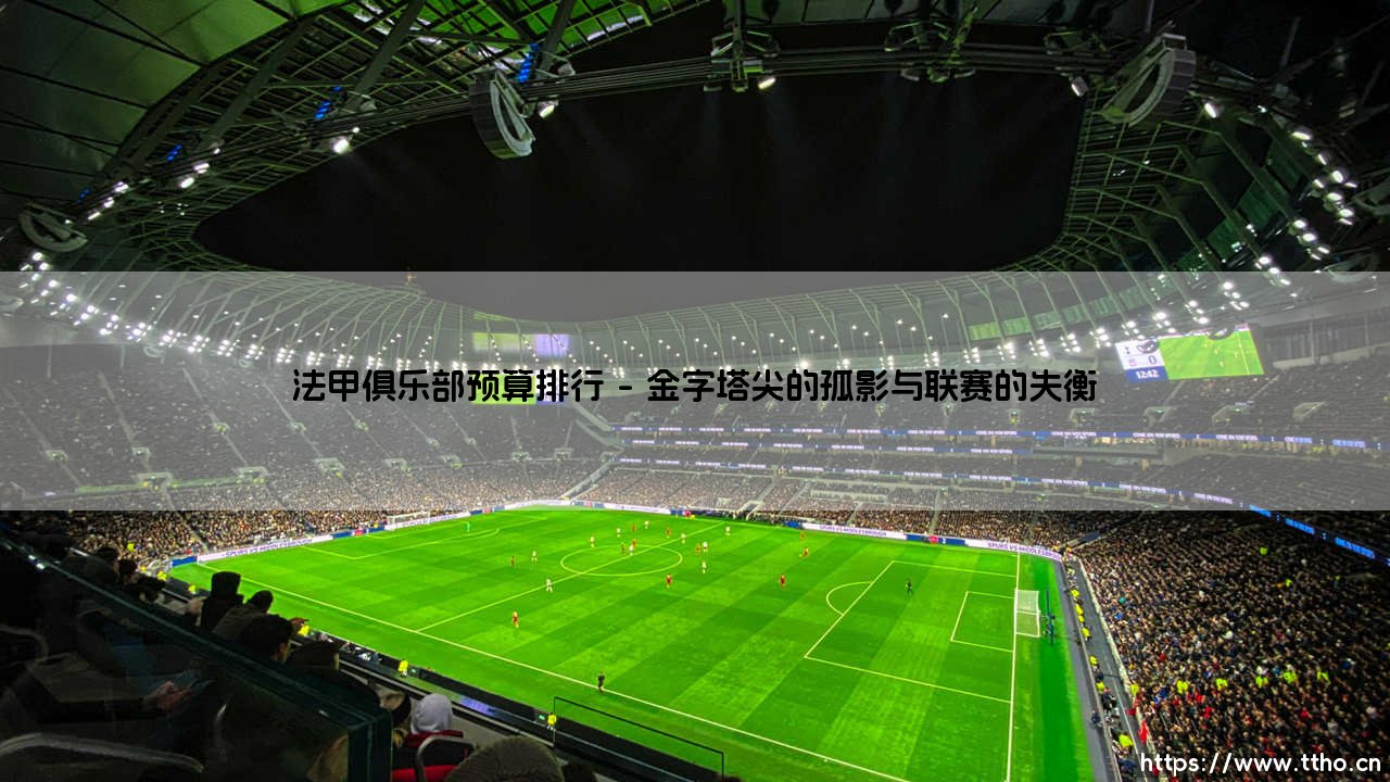 法甲俱乐部预算排行的金钱游戏-第1张图片-天体号