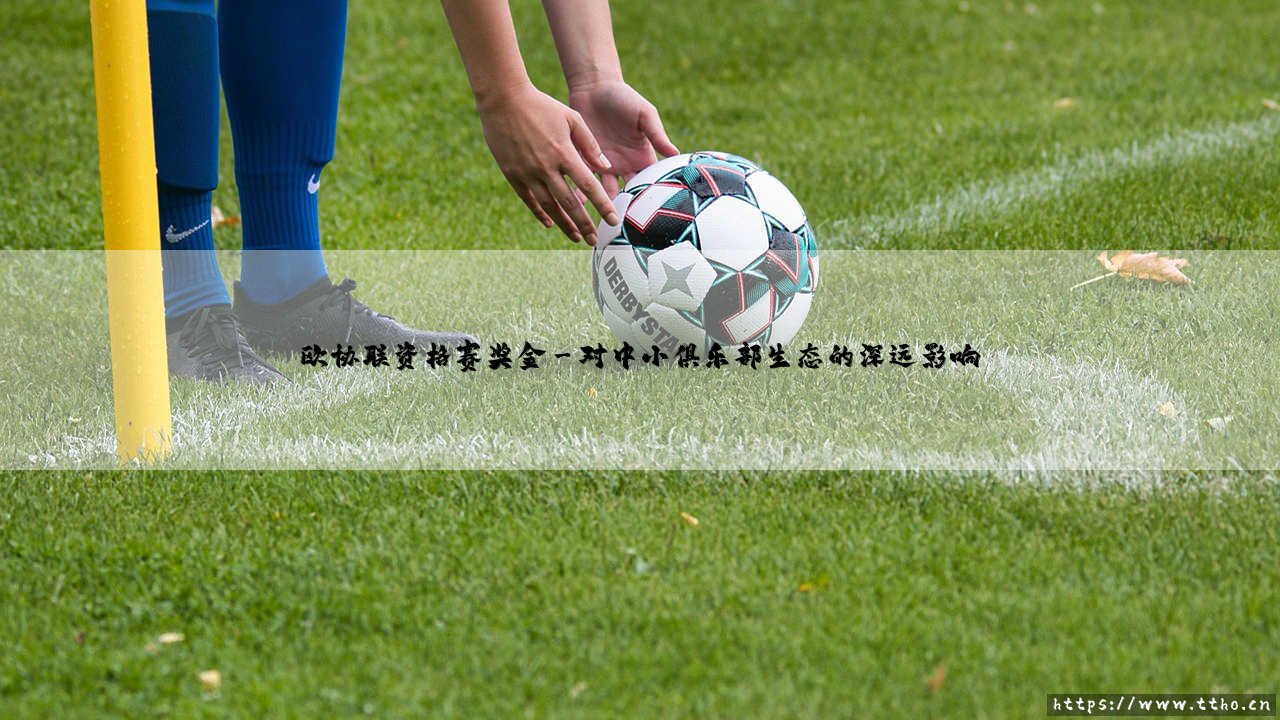 欧协联资格赛奖金解析:一笔不容忽视的欧洲足坛财富-第3张图片-天体号 欧协联资格赛奖金解析:一笔不容忽视的欧洲足坛财富-第3张图片-天体号
