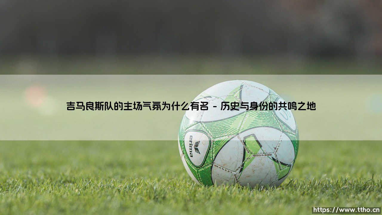 吉马良斯队的主场气氛为什么有名？——「阿方索·恩里克斯球场」的魔力究竟何在？-第1张图片-天体号