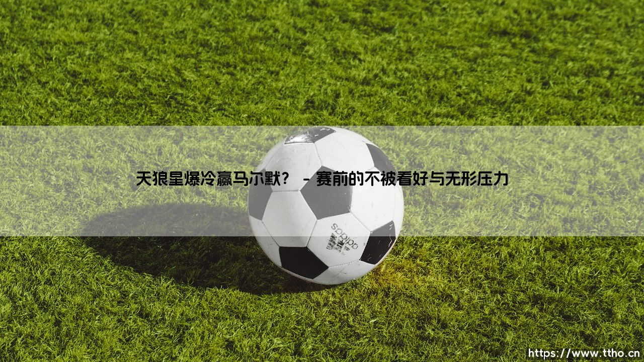 天狼星爆冷赢马尔默?悬念揭晓:一场颠覆预期的「北欧对决」-第1张图片-天体号 天狼星爆冷赢马尔默?悬念揭晓:一场颠覆预期的「北欧对决」-第1张图片-天体号