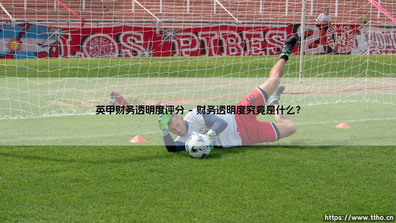 英甲财务透明度评分:球队的账本,球迷真的能看清吗?- 揭秘「英甲俱乐部」财务健康度的晴雨表-第1张图片-天体号 英甲财务透明度评分:球队的账本,球迷真的能看清吗?- 揭秘「英甲俱乐部」财务健康度的晴雨表-第1张图片-天体号