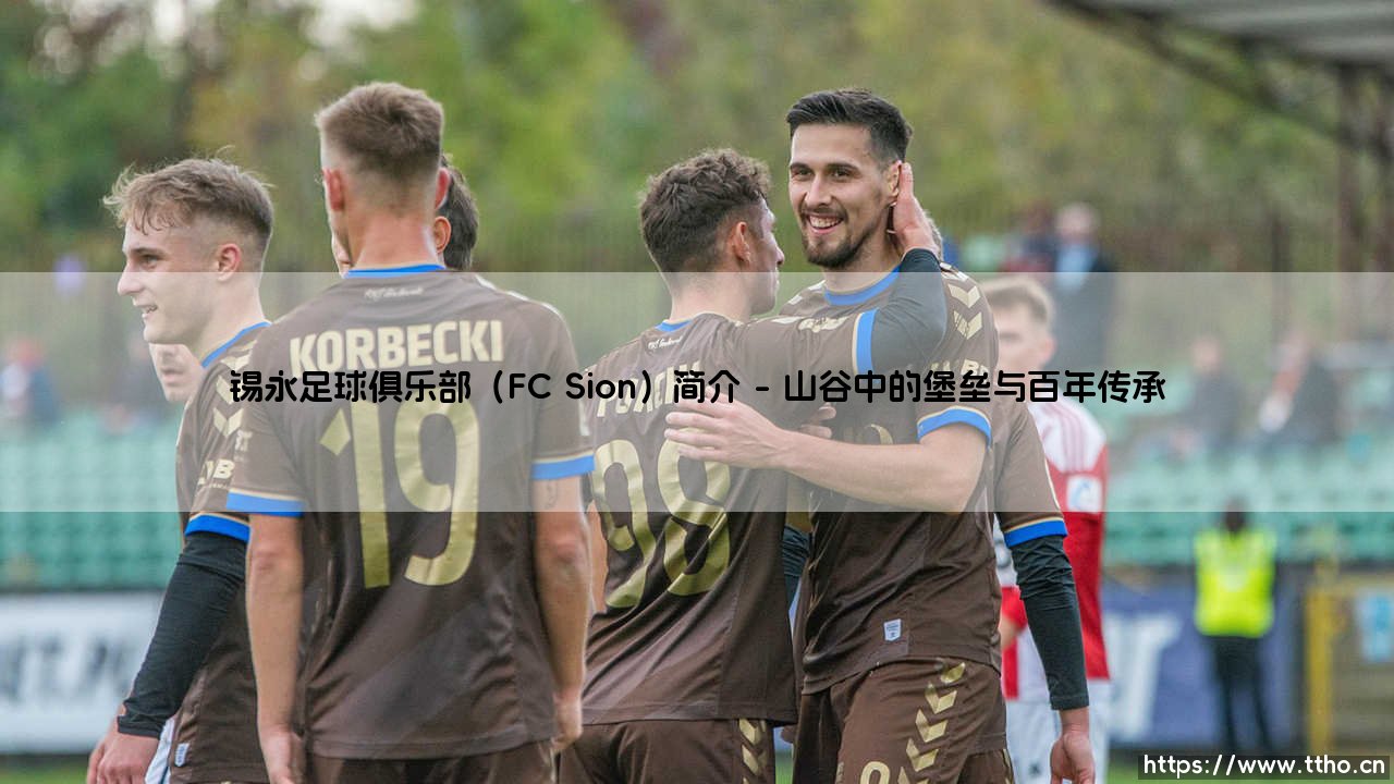 锡永足球俱乐部(FC Sion)简介:揭秘瑞士足坛的独特传奇——锡永足球俱乐部(FC Sion)-第1张图片-天体号 锡永足球俱乐部(FC Sion)简介:揭秘瑞士足坛的独特传奇——锡永足球俱乐部(FC Sion)-第1张图片-天体号