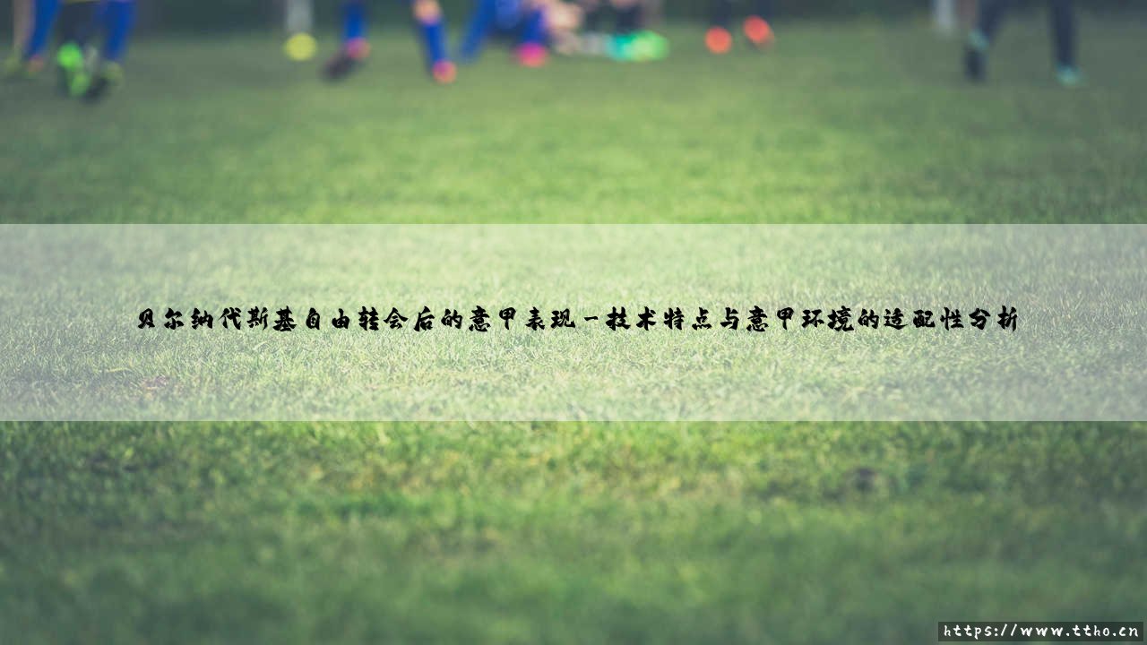 从紫百合到蓝黑军团：贝尔纳代斯基自由转会后的意甲表现探析-第3张图片-天体号