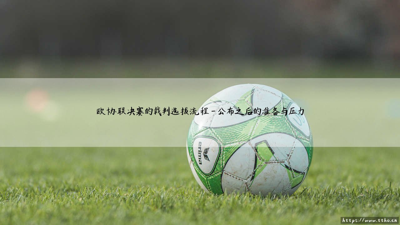 谁主哨这场关键战？- 深入揭秘：欧协联决赛的裁判选拔流程-第4张图片-天体号