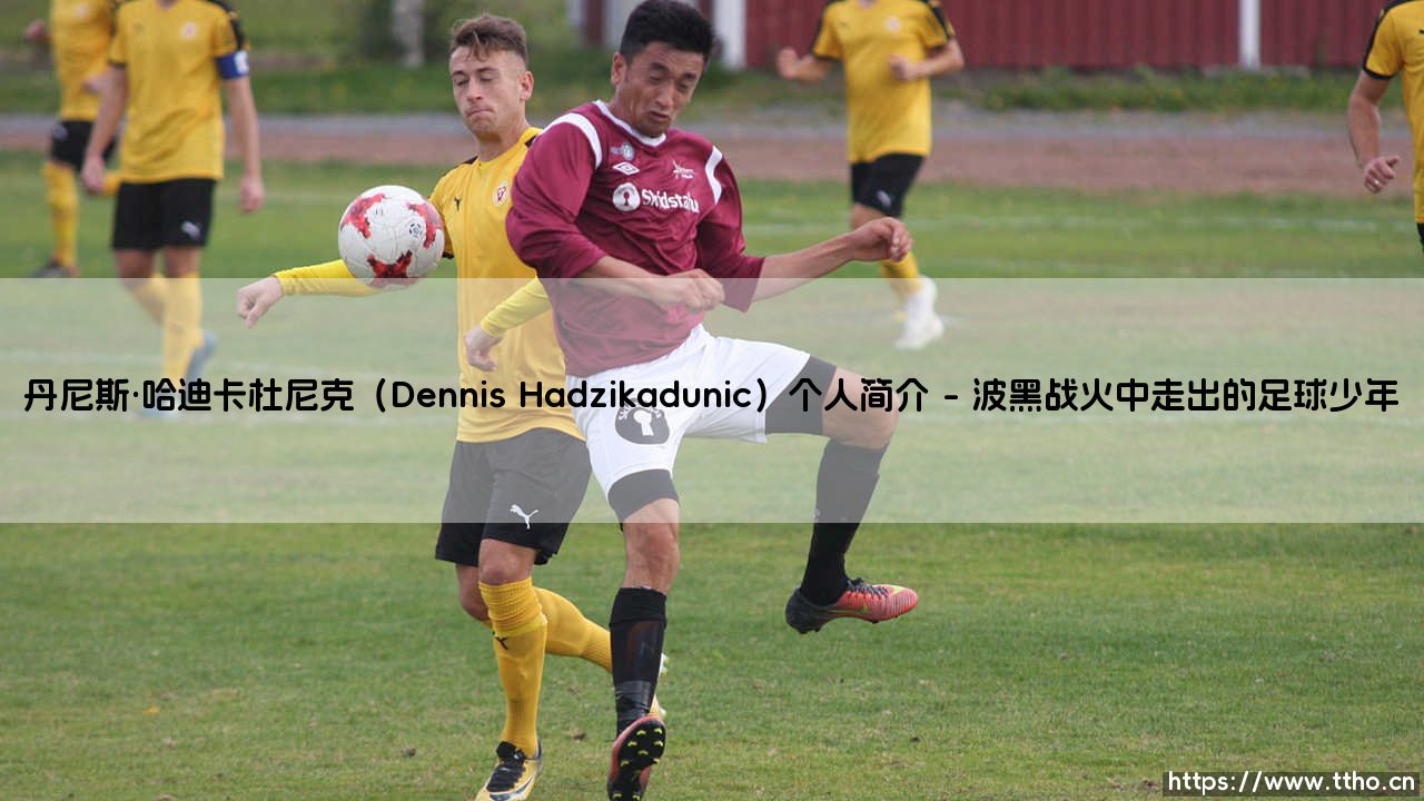 丹尼斯·哈迪卡杜尼克(Dennis Hadzikadunic)个人简介-看球不熬夜-第1张图片-天体号 丹尼斯·哈迪卡杜尼克(Dennis Hadzikadunic)个人简介-看球不熬夜-第1张图片-天体号
