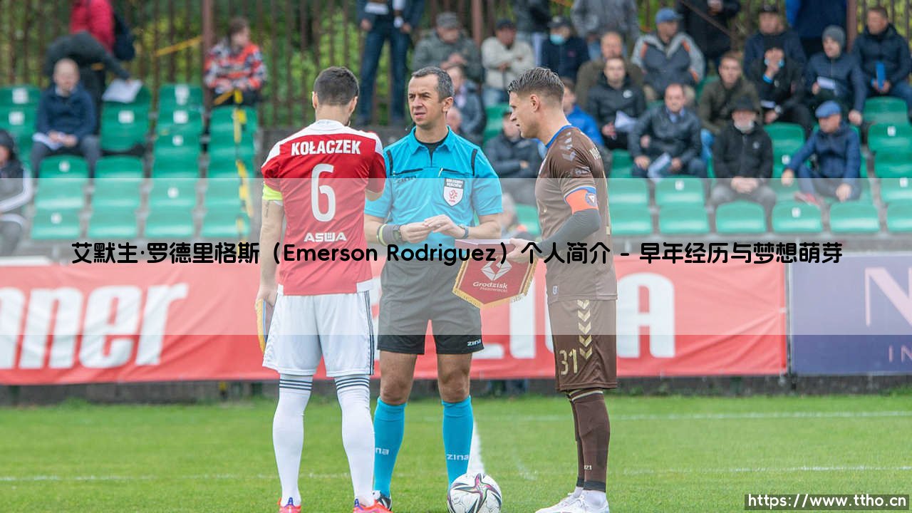 艾默生·罗德里格斯是谁?——探寻Emerson Rodriguez的非凡旅程-第1张图片-天体号 艾默生·罗德里格斯是谁?——探寻Emerson Rodriguez的非凡旅程-第1张图片-天体号