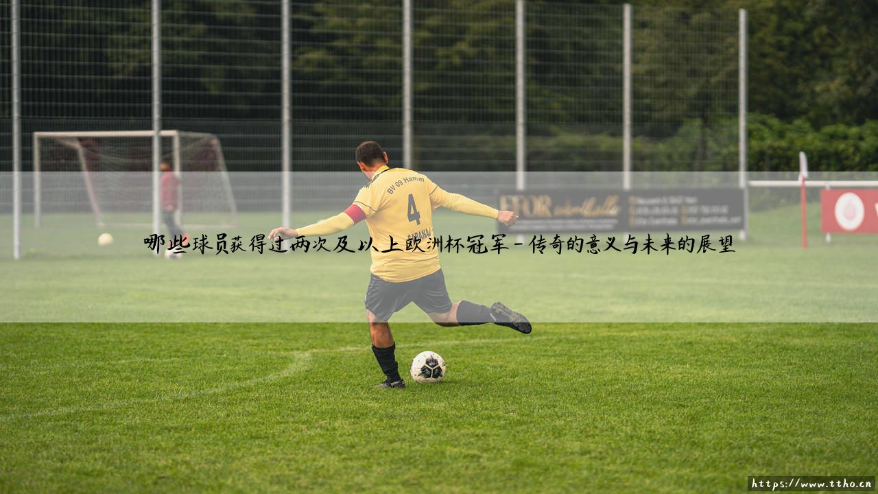 哪些球员获得过两次及以上欧洲杯冠军?——盘点足坛历史上的双冠传奇-第4张图片-天体号 哪些球员获得过两次及以上欧洲杯冠军?——盘点足坛历史上的双冠传奇-第4张图片-天体号