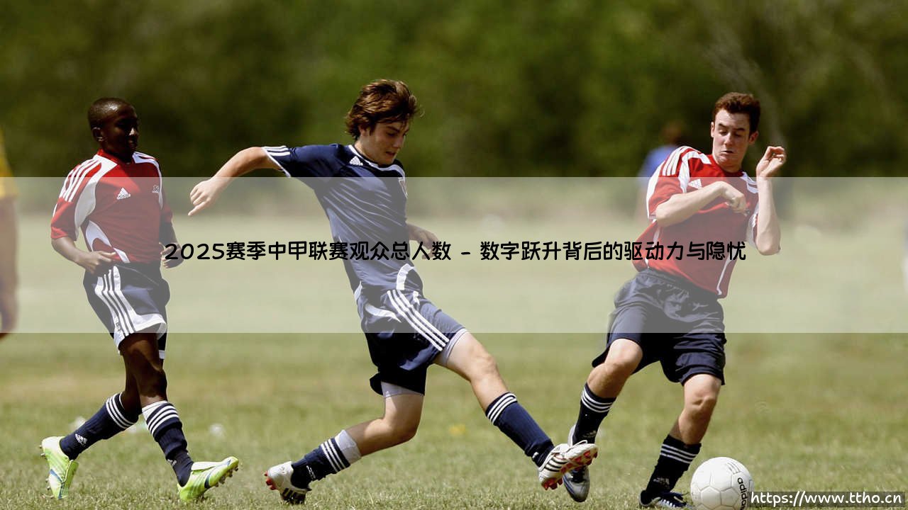2025赛季中甲联赛观众总人数:数字背后是热情还是泡沫?-第2张图片-天体号 2025赛季中甲联赛观众总人数:数字背后是热情还是泡沫?-第2张图片-天体号