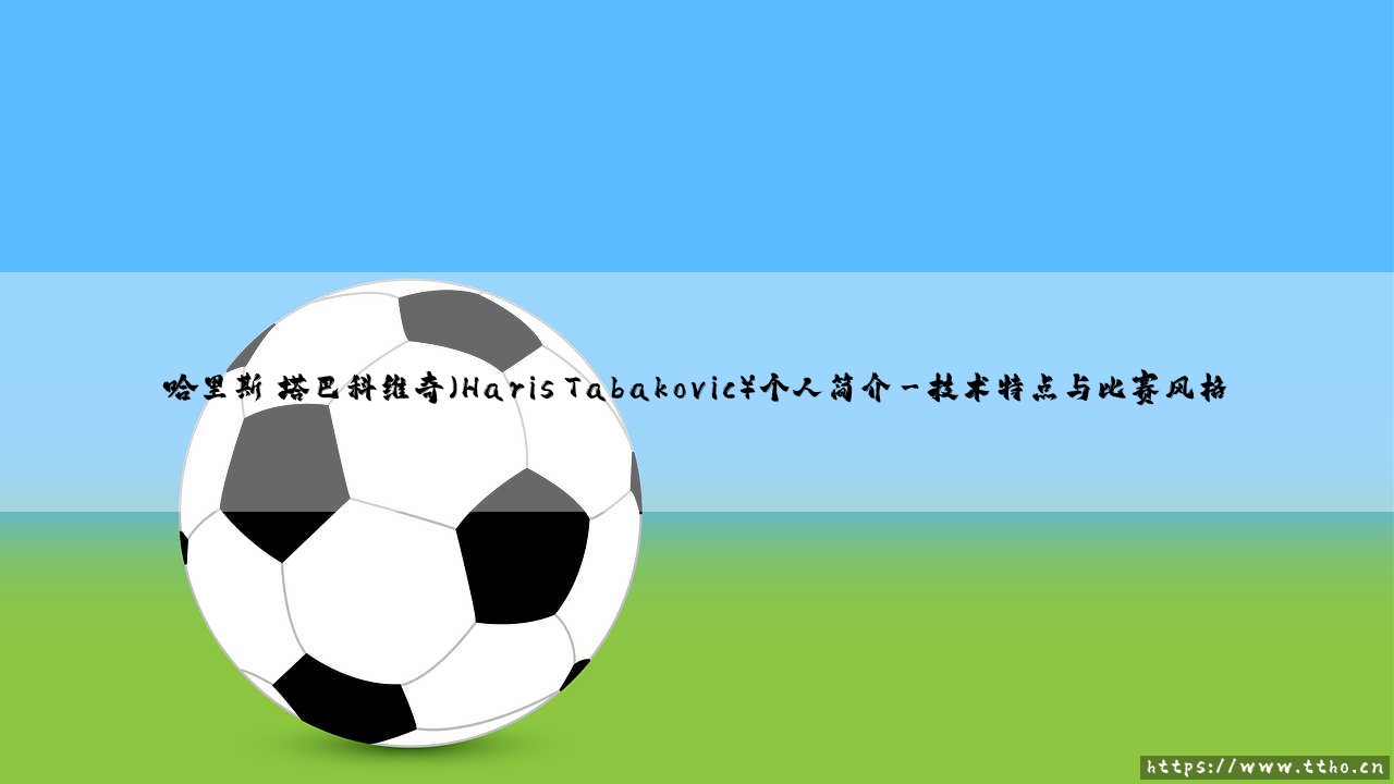 哈里斯·塔巴科维奇个人简介:波黑射手哈里斯·塔巴科维奇的崛起之路-第3张图片-天体号 哈里斯·塔巴科维奇个人简介:波黑射手哈里斯·塔巴科维奇的崛起之路-第3张图片-天体号