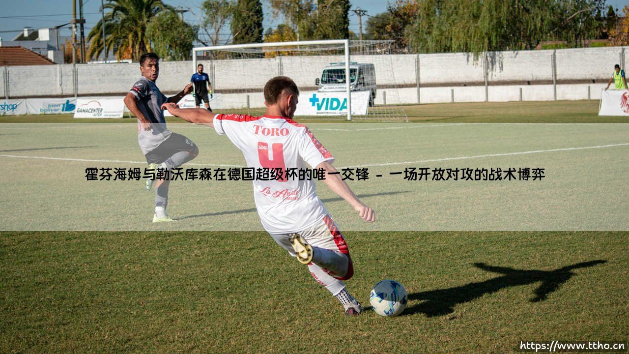 霍芬海姆与勒沃库森在德国超级杯的唯一交锋——东方体育-第2张图片-天体号
