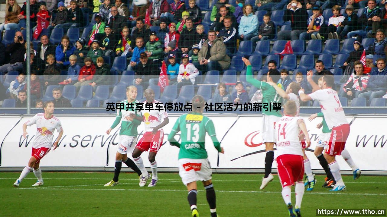 英甲共享单车停放点的兴起与思考-第1张图片-天体号