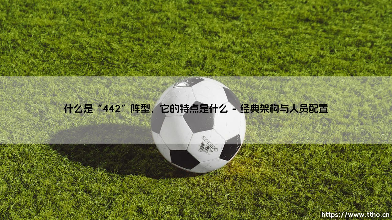 什么是“442”阵型，它的特点是什么？-第1张图片-天体号