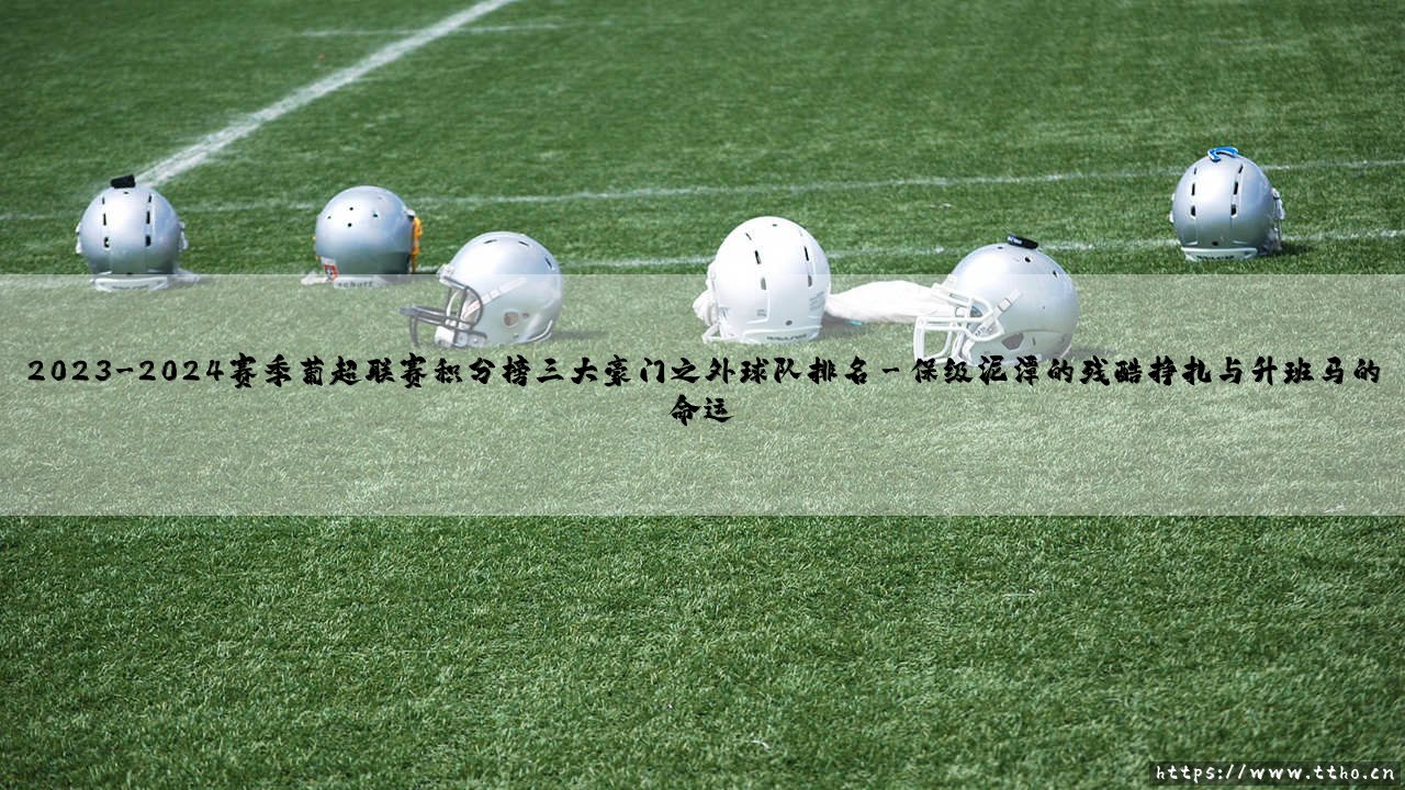2023-2024赛季葡超联赛积分榜深度剖析:聚焦三大豪门之外的球队排名风云-第3张图片-天体号 2023-2024赛季葡超联赛积分榜深度剖析:聚焦三大豪门之外的球队排名风云-第3张图片-天体号